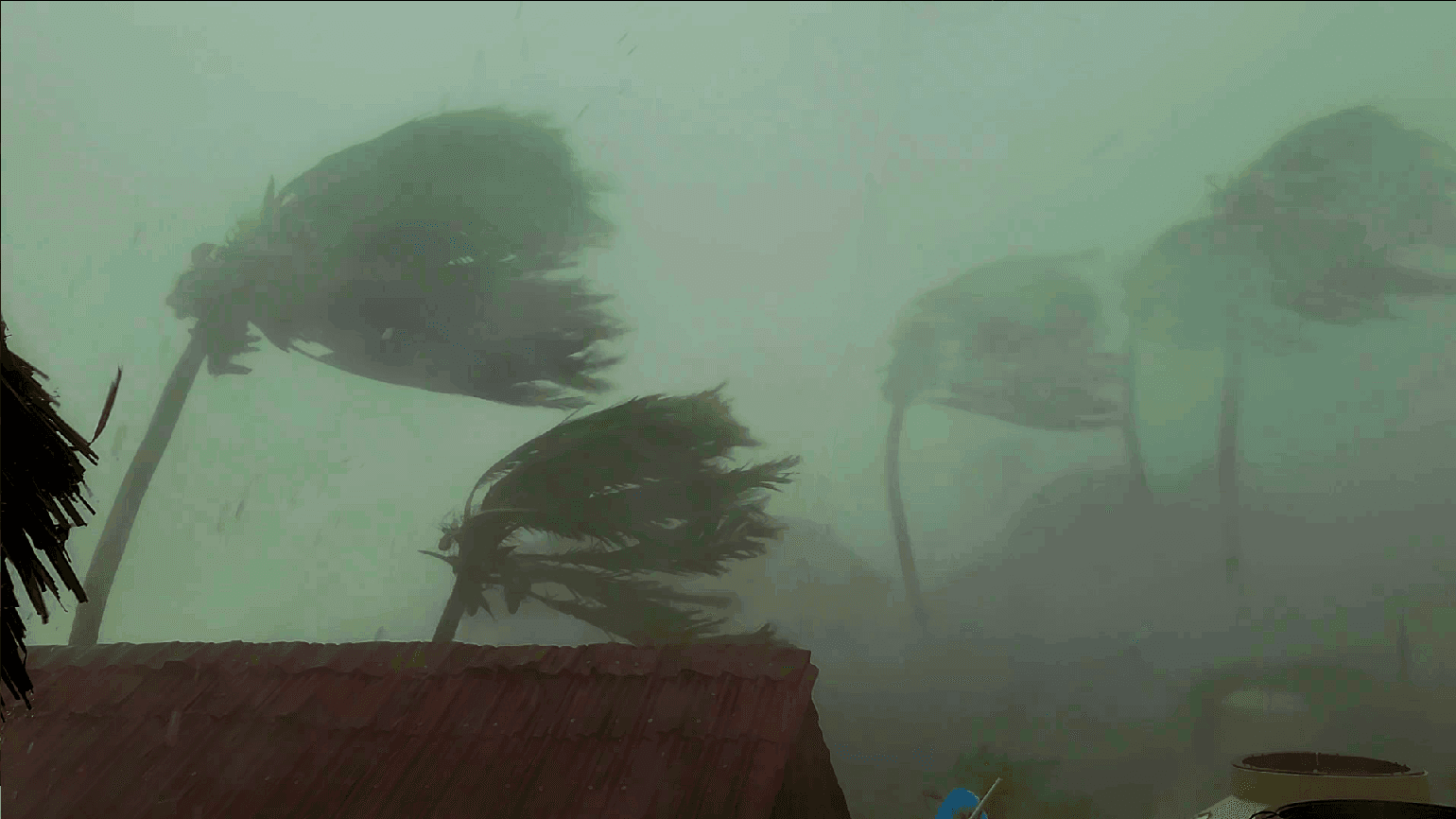 DURABILITY & BEAUTY TOGETHER - 3